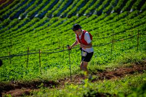 BIB: 
                            <button type="button" onclick="openModal(19161241)" class="btn btn-primary btn-sm float-right btn-popup" data-toggle="modal" data-target=".modal-high-quality">
                        <i class="fas fa-shopping-cart"></i> Add to Cart
                    </button>
                                            <button type="button" onclick="isThisMe(19161241, true)" class="btn btn-success btn-sm float-right btn-popup btn-isme hidden" data-toggle="tooltip" data-placement="bottom" title="นี่คือรูปของคุณใช่ไหม คลิกที่นี่เพื่อเอาเข้าอัลบั้ม">
                        <i class="fas fa-plus"></i> Add to album
                    </button>
                    <button type="button" onclick="isThisMe(19161241, false)" class="btn btn-warning btn-sm float-right btn-popup btn-isnotme hidden">
                        <i class="fas fa-ban"></i> Remove from album
                    </button>